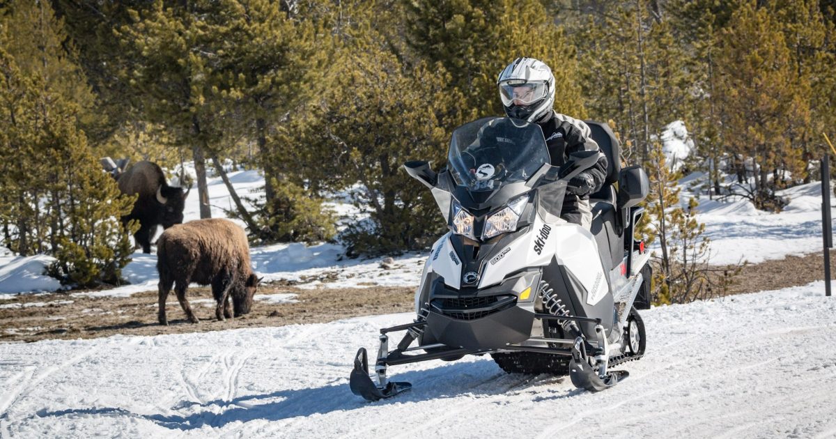 Scenic Safaris Snowmobile Adventures Jackson Hole WY