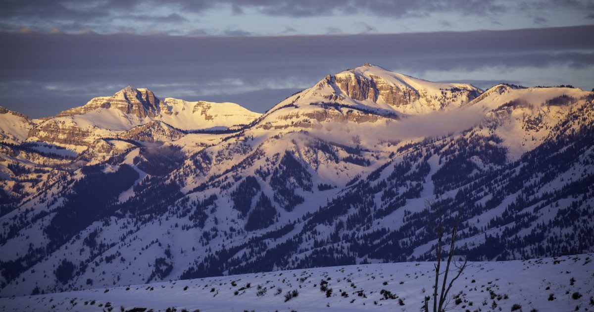 Snowshoe in Jackson Hole Guided Snowshoe Tours JH Jackson Hole WY