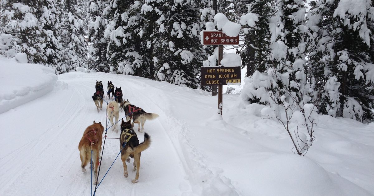 Dog Sledding Tours in Jackson Hole, Wyoming Jackson Hole WY
